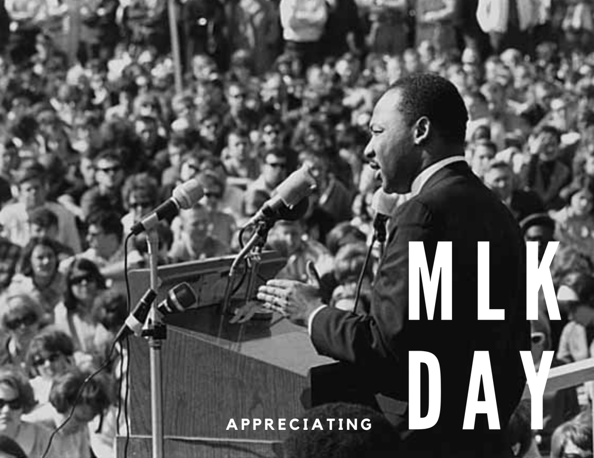 Appreciating MLK Day
