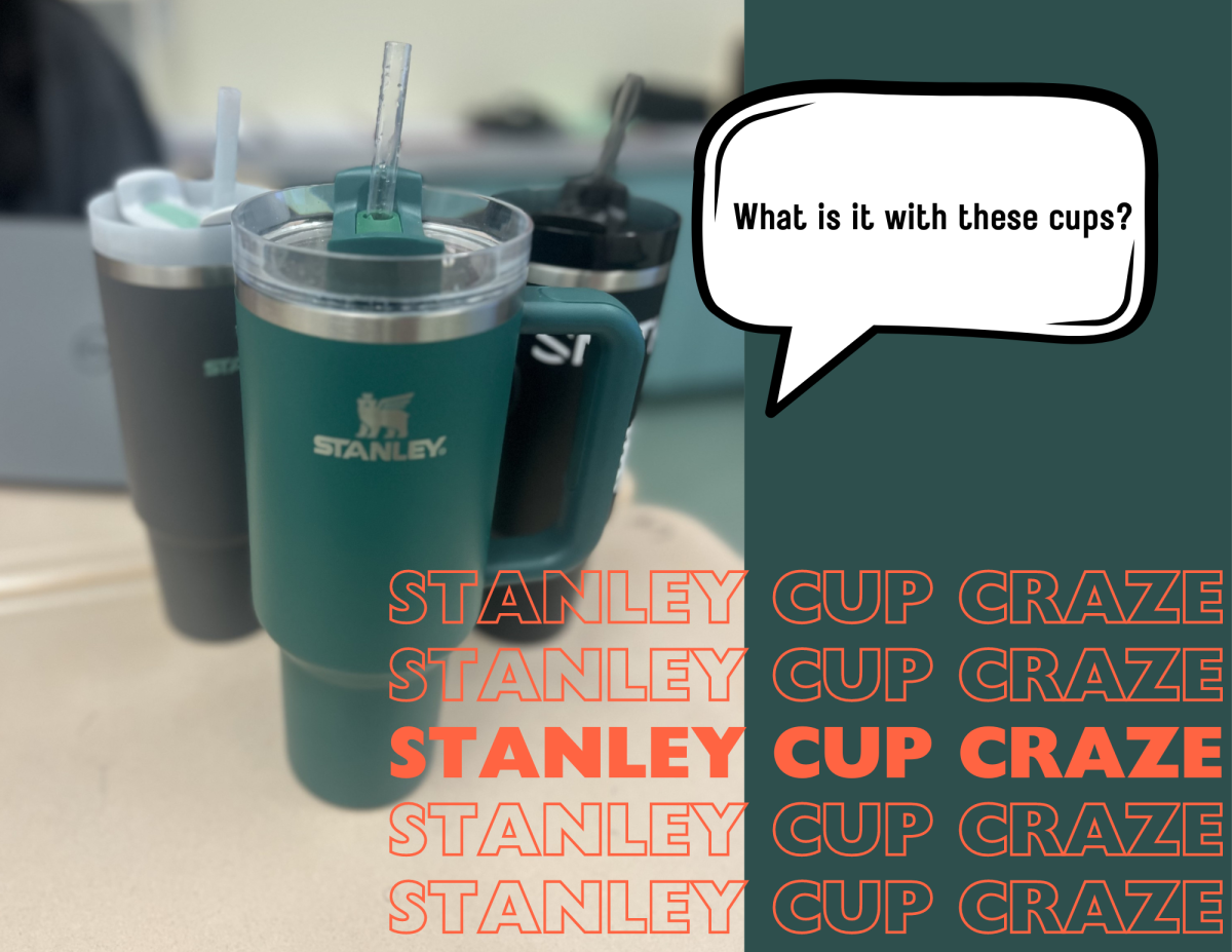 Stanley Cup Craze
