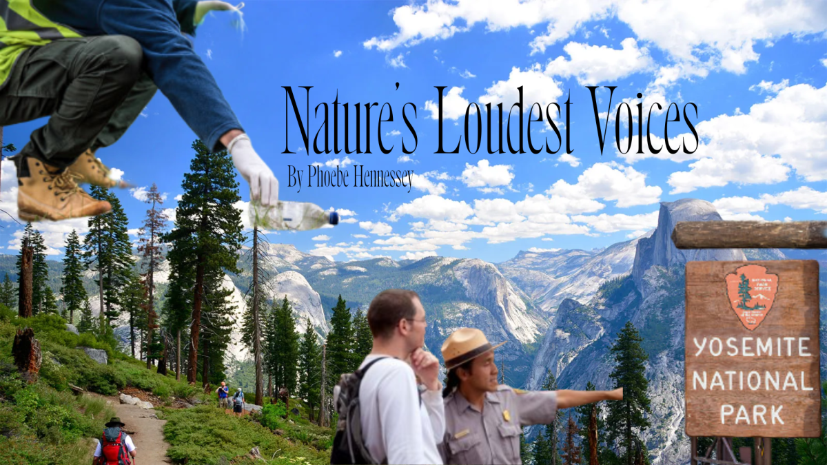 Nature's Loudest Voices