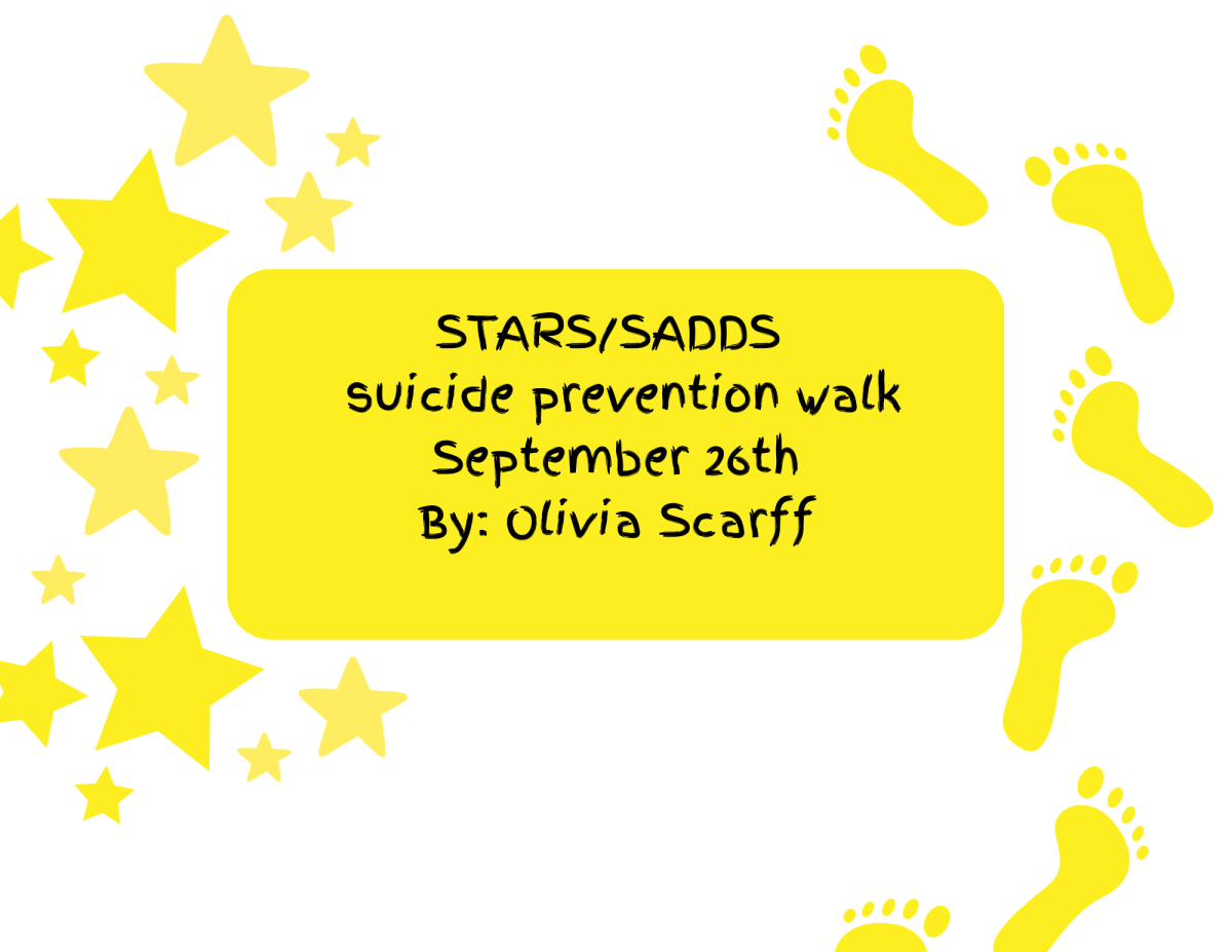 STARS/SADDS Suicide Prevention Walk
