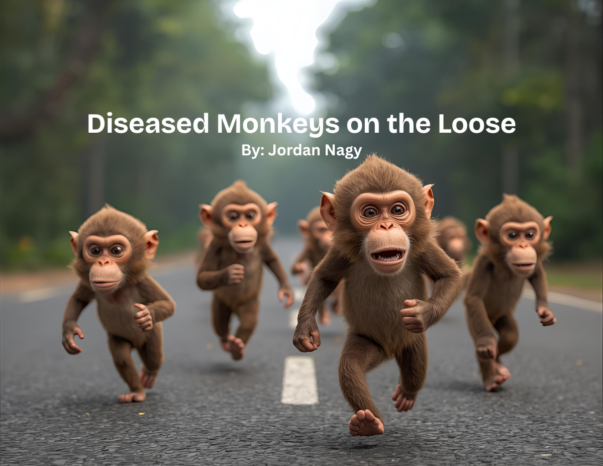 Diseased Monkeys on the Loose