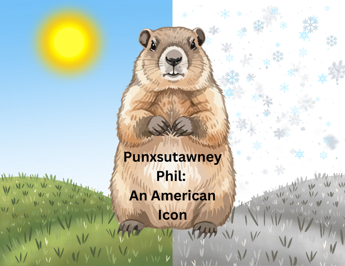 Punxsutawney Phil