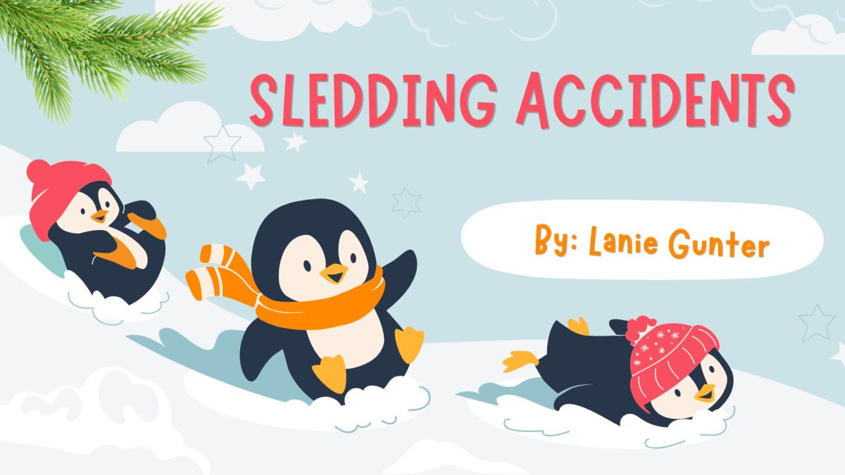 The Sledding Incident