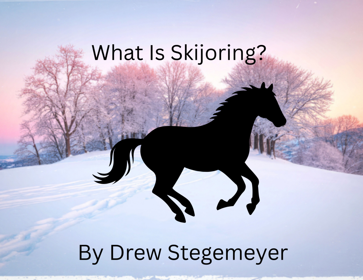 What is Skijoring?