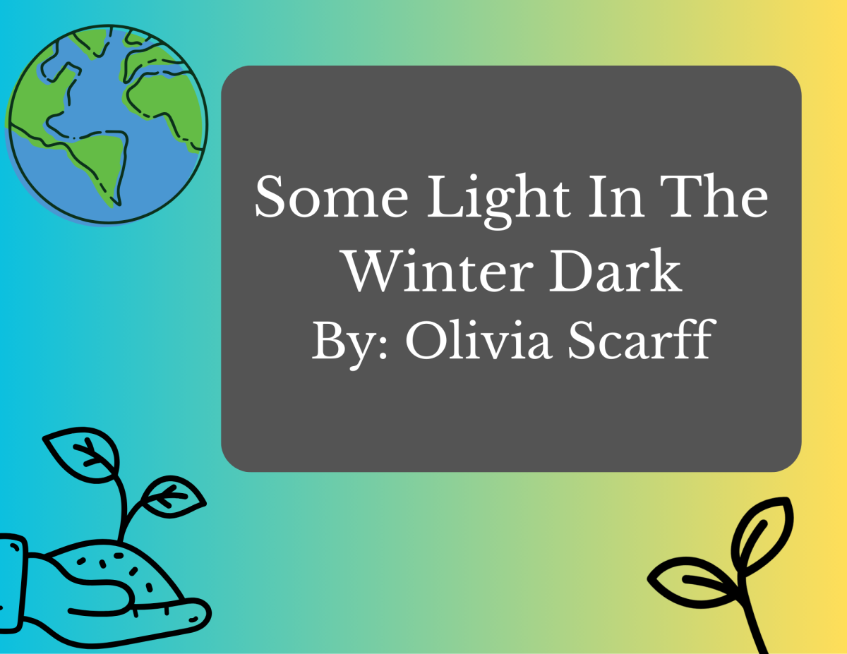 Some Light in the Winter Dark