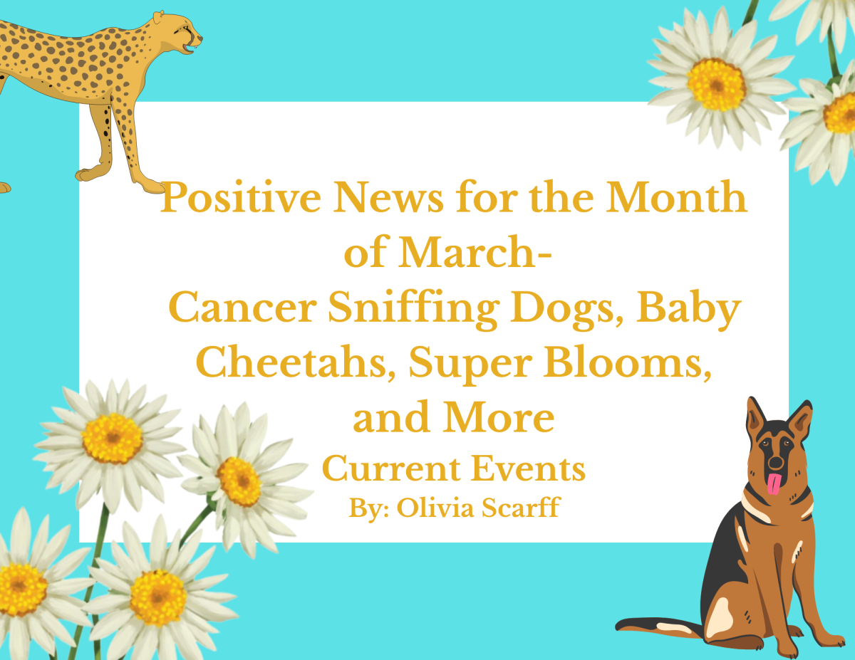 Positive News for the Month of March