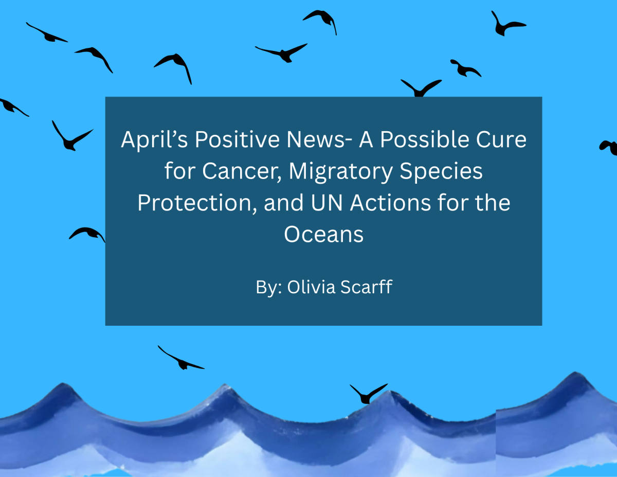April's Positive News