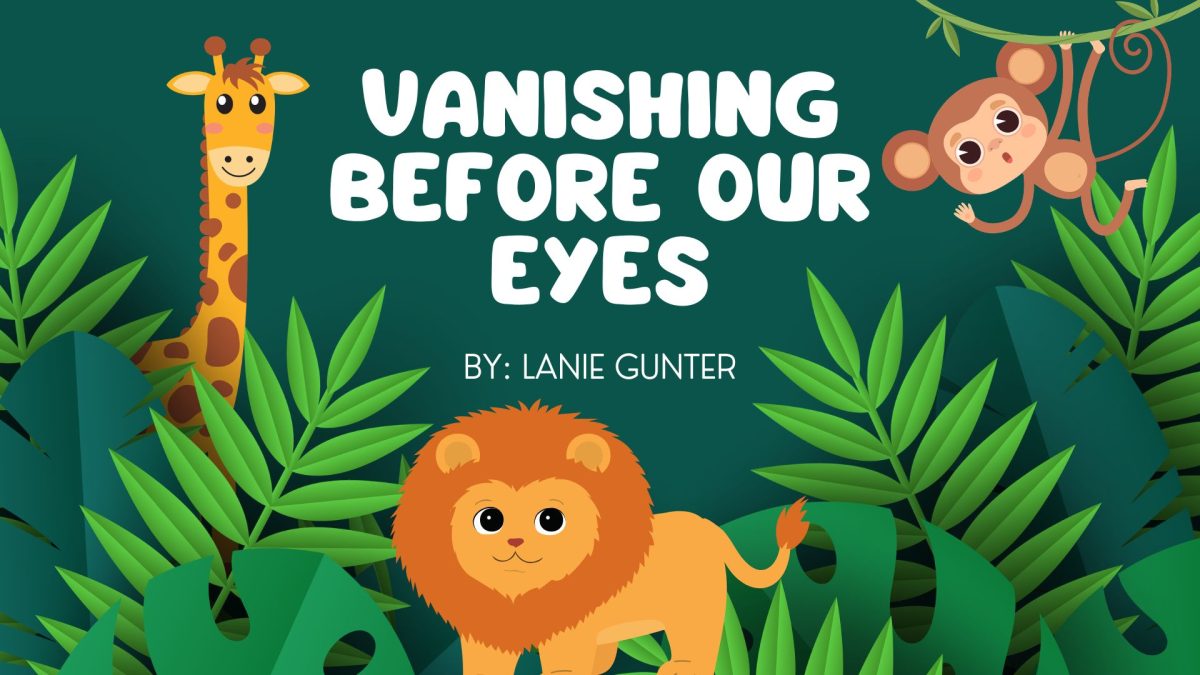 Vanishing Before Our Eyes