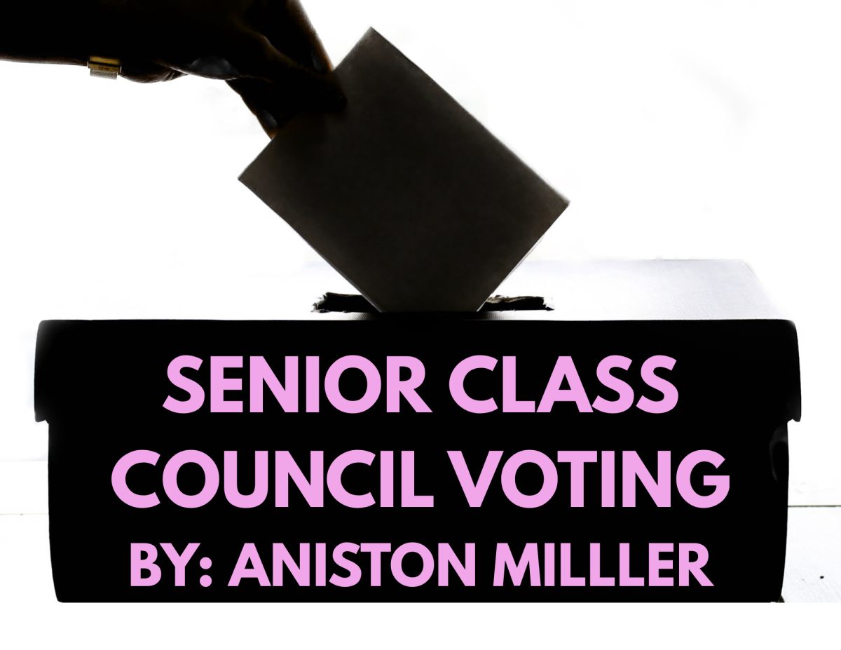 Senior Class Council Voting